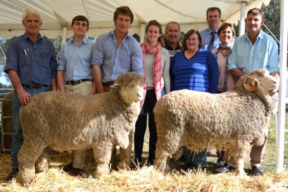 Yarrawonga Ram Sale 2014