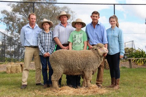 Top price Ram 2012 On property at $8600 sold to Michael Hedger Snowy Plains Stud