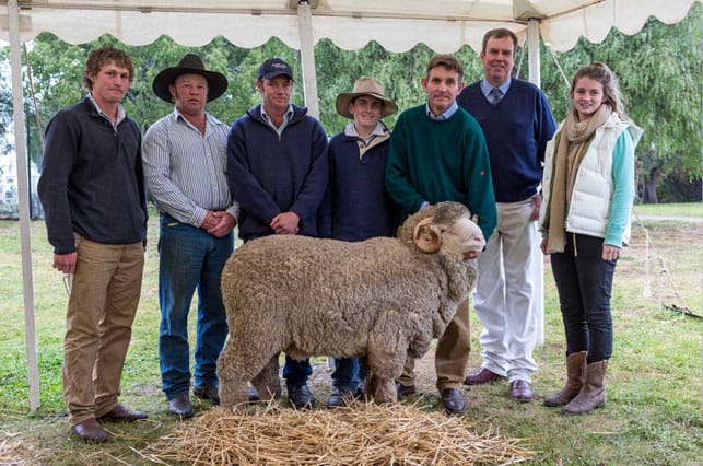 Yarrawonga rams to $22,000