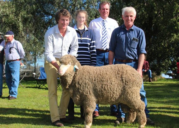 Yarrawonga Merino Top Price Ram 2016 Sale