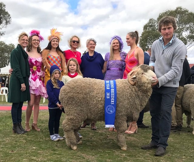 Winner of Ram of the Year at the 2018 SWS Merino Field Day