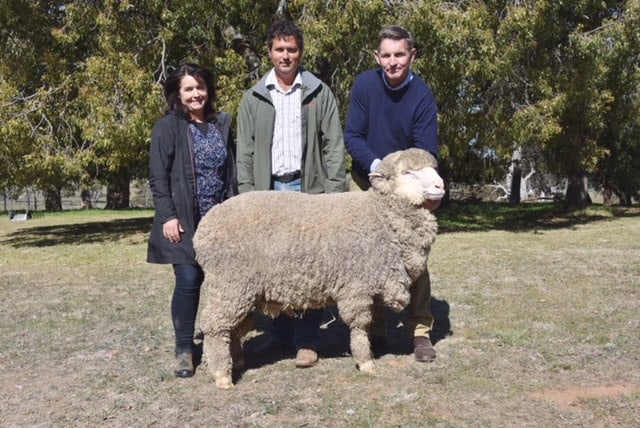 Equal second top price ram Sold $14,000, High View Stud