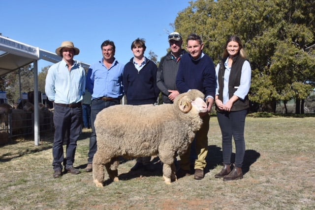 Top price sold $16,000 Avonside Stud