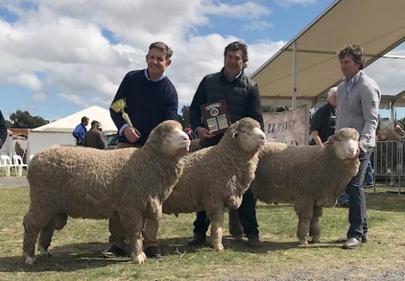 Yarrawonga Merino Stud for the Pen of Three Rams at the South West Slopes Merino Breeders Field Day 2018