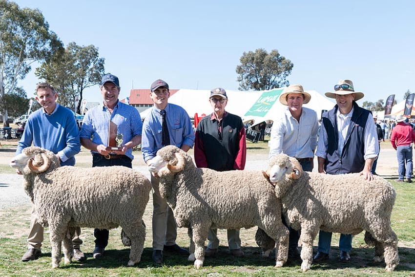 Winner of Pen of Three at SWS Field Day