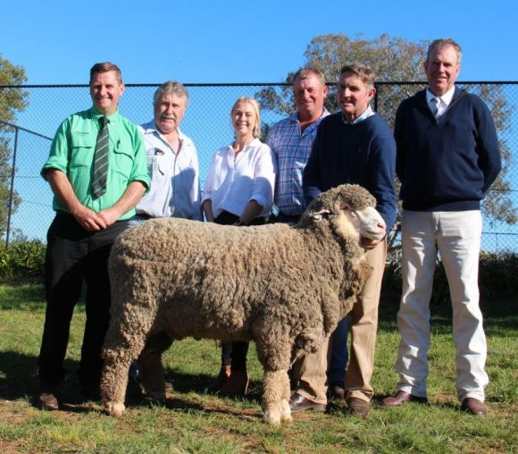 Top Price Ram sold to "Thalaba" Stud, Crookwell for $16,000