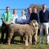 Top Price Ram sold to "Thalaba" Stud, Crookwell for $16,000