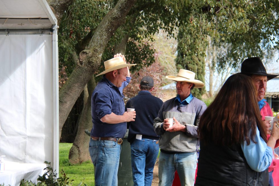 Yarrawonga Merino Ram Sale 2020