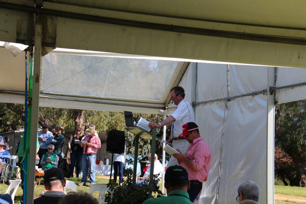 Yarrawonga Merino Ram Sale 2020