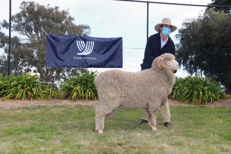 Yarrawonga's 2021 Ram Sale results