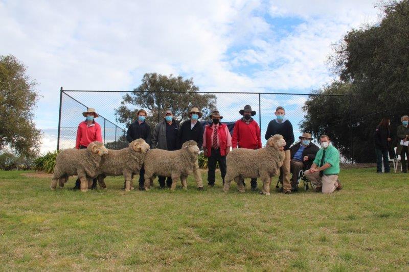 Three rams sold for $12,000